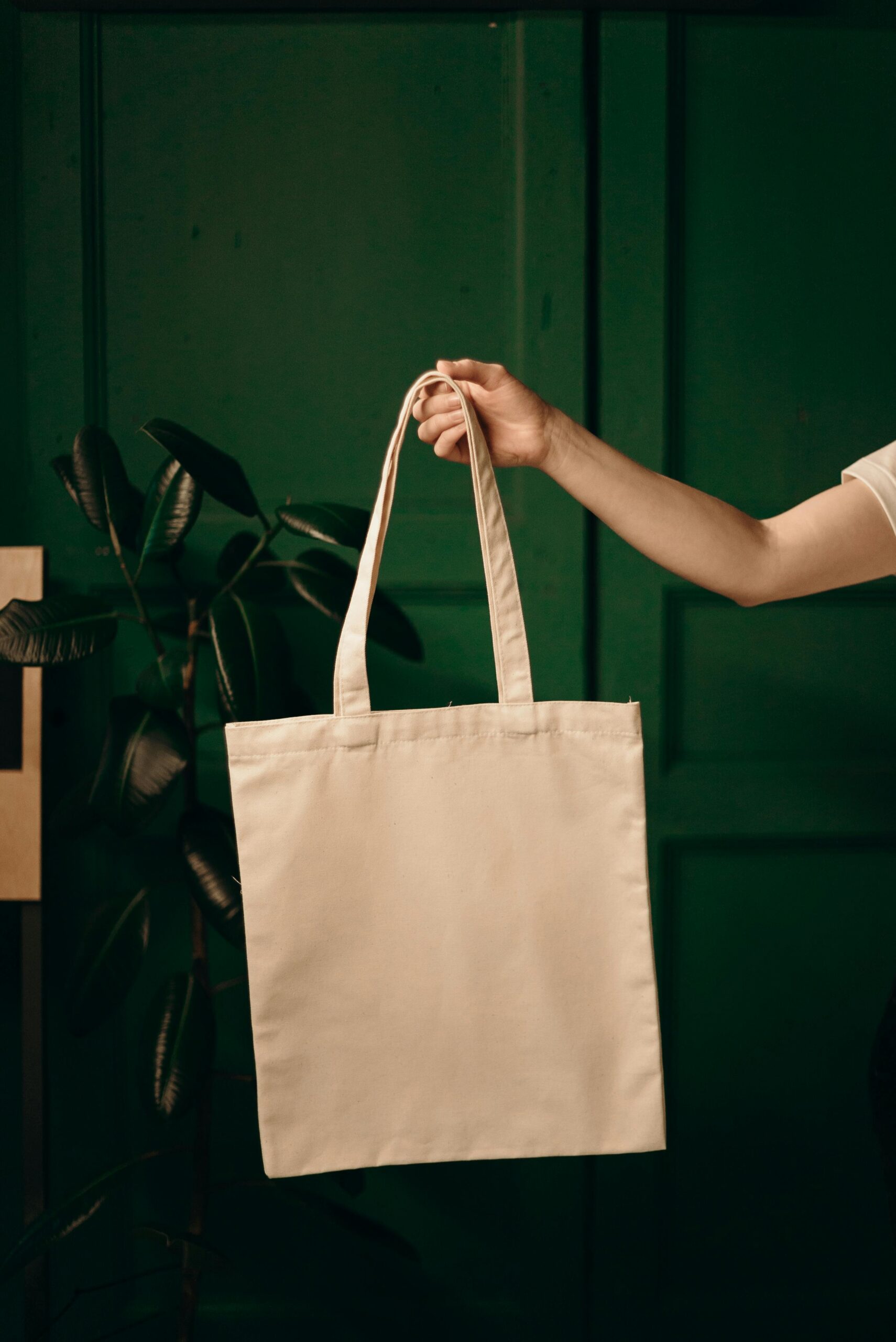 a plain tote bag held up by a person off camera with only their arm showing